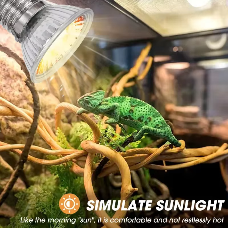 Ampoules UVA pour reptiles, lampe chauffante pour animaux de compagnie, lampe solaire complète pour amphibiens, tortue qui se prélasse, lampe chauffante UV, 25 W, 50 W, 75W