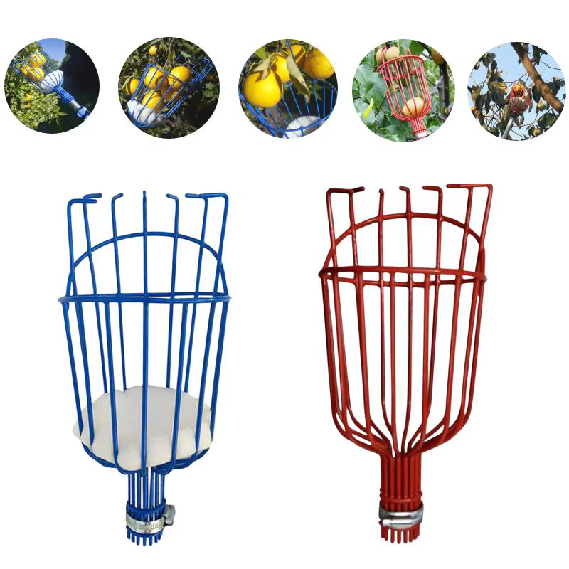 Machine de cueillette de fruits