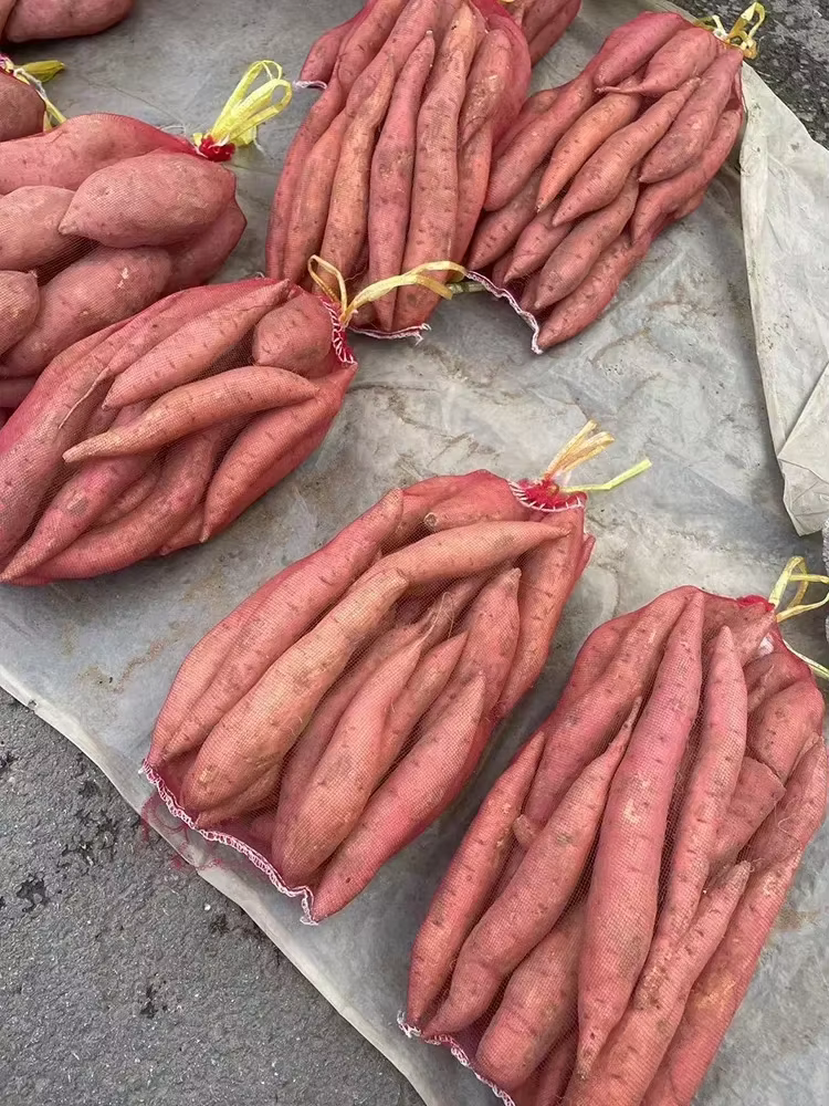 Sac en maille en plastique pour sachets de fruits et légumes, emballage en maille rouge et jaune, petit sac tissé en maille, 100 pièces