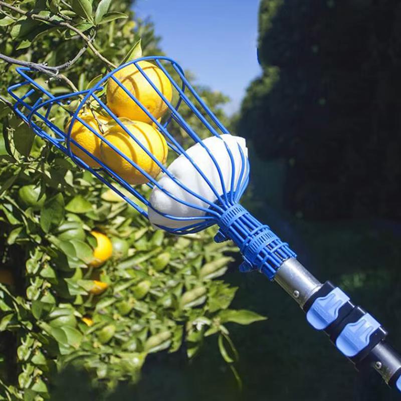 Machine de cueillette de fruits