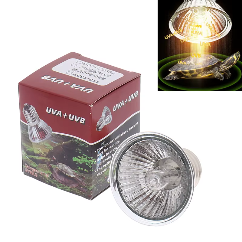 Ampoule de lampe chauffante pour reptile, régulateur de température, tortue qui se prélasse, UVA et non remboursable, 3.0, 25 W, 50 W, 75W