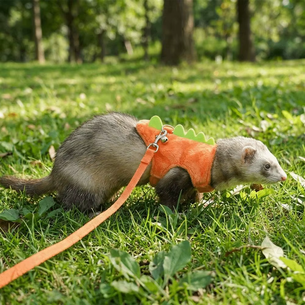 Harnais réglable pour furets en forme de dinosaure avec clochette, sangle de poitrine pour hamsters, laisse confortable anti-évasion pour animaux de compagnie, pour l'extérieur