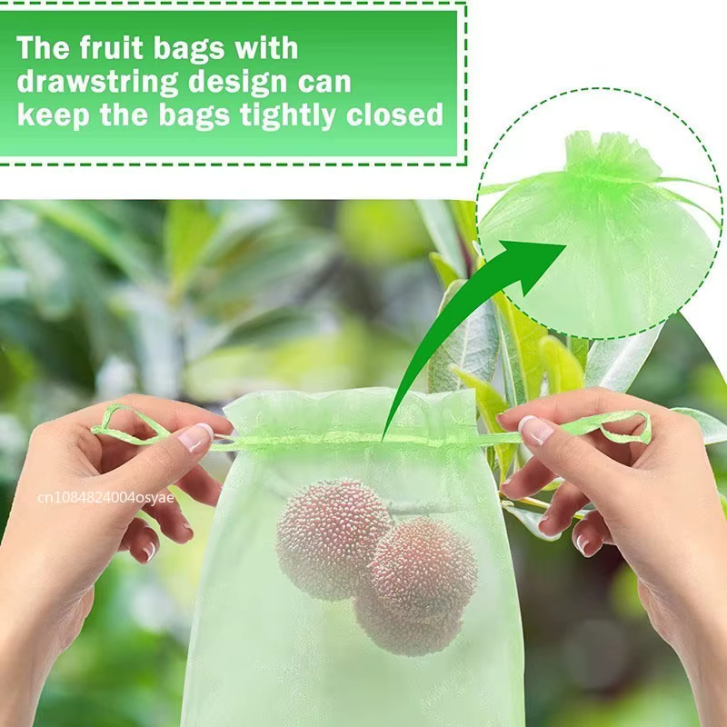 Sacs de protection anti-oiseaux pour la culture de plantes