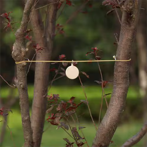 Cible de Tir en Acier Inoxydable de 3cm pour Entraînement