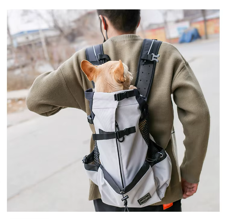 Randonnée animal de compagnie chien transporteur voyage sac à dos Ventilation extérieure respirant vélo moto Sport de plein air maille sac livraison directe