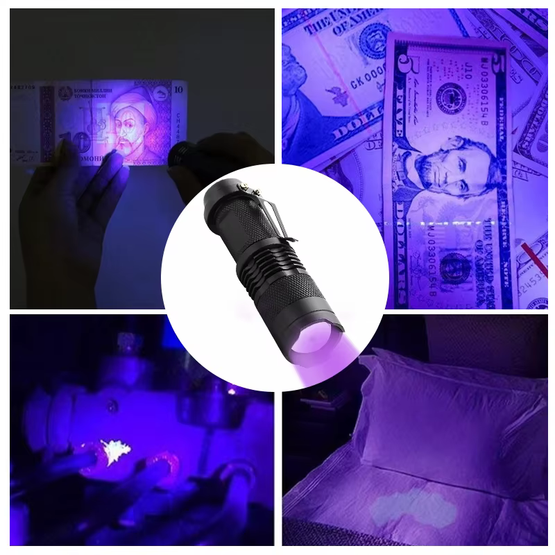 Lampe de poche UV LED Portable