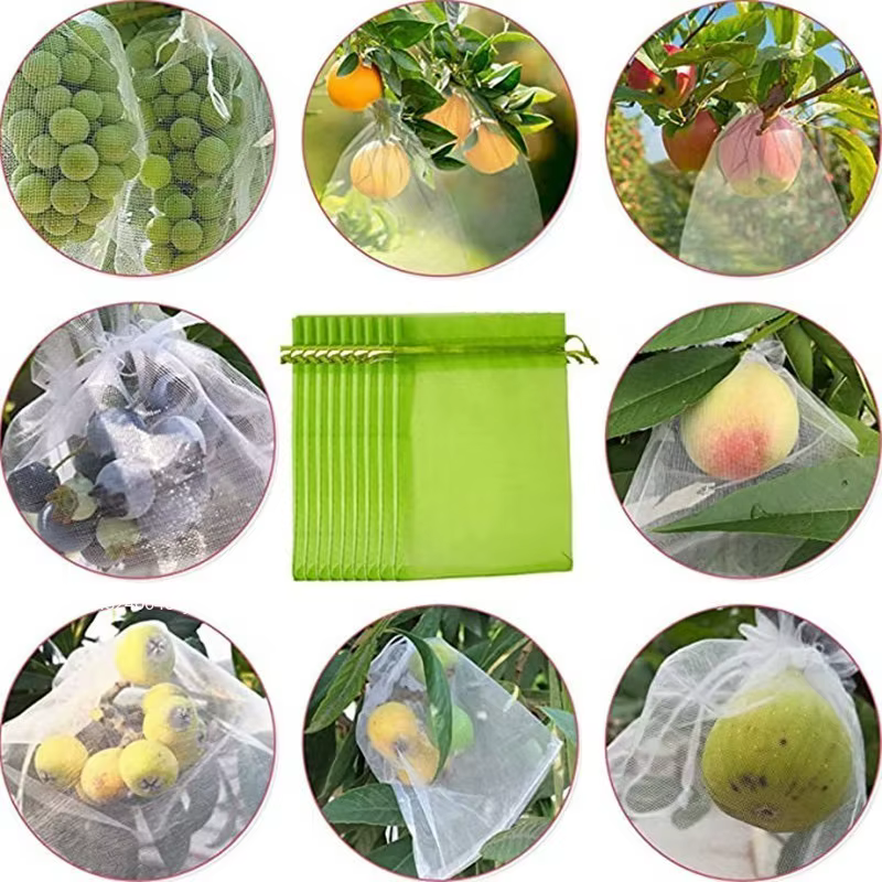 Sacs de protection anti-oiseaux pour la culture de plantes